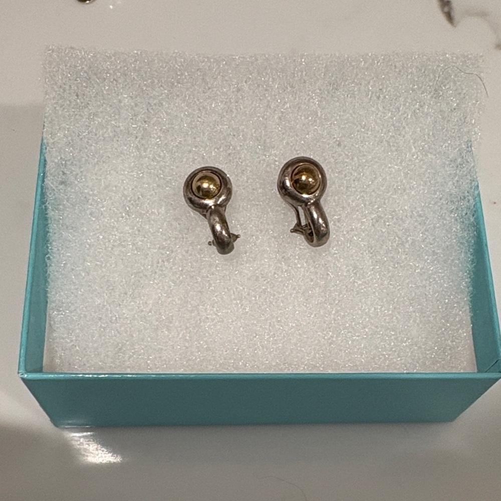 Silver and Gold earrings